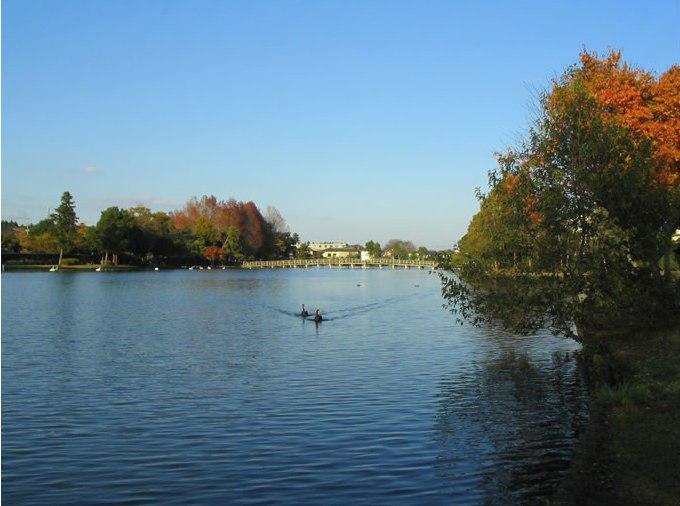 大塚池公園