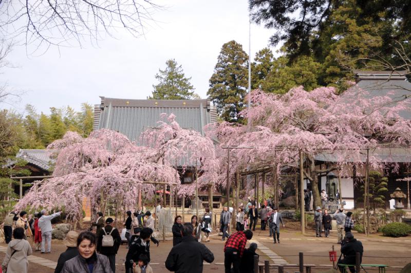 六地蔵寺