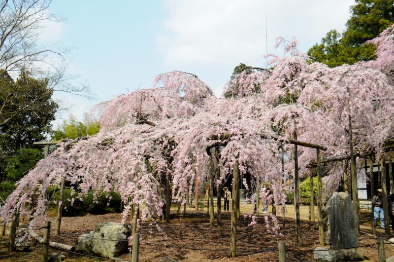 六地蔵寺