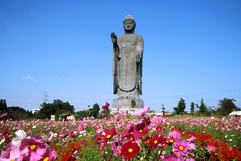 牛久大仏