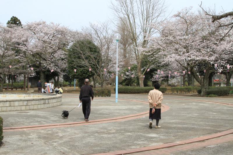 城跡歴史公園