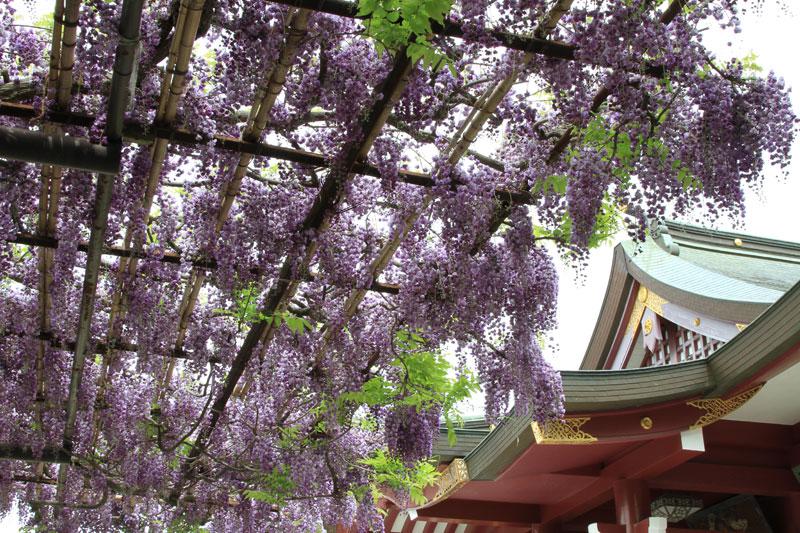 笠間稲荷神社