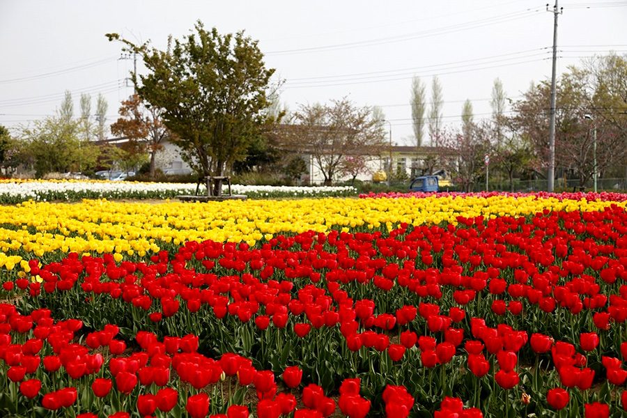 和田公園