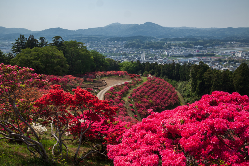 笠間つつじ公園