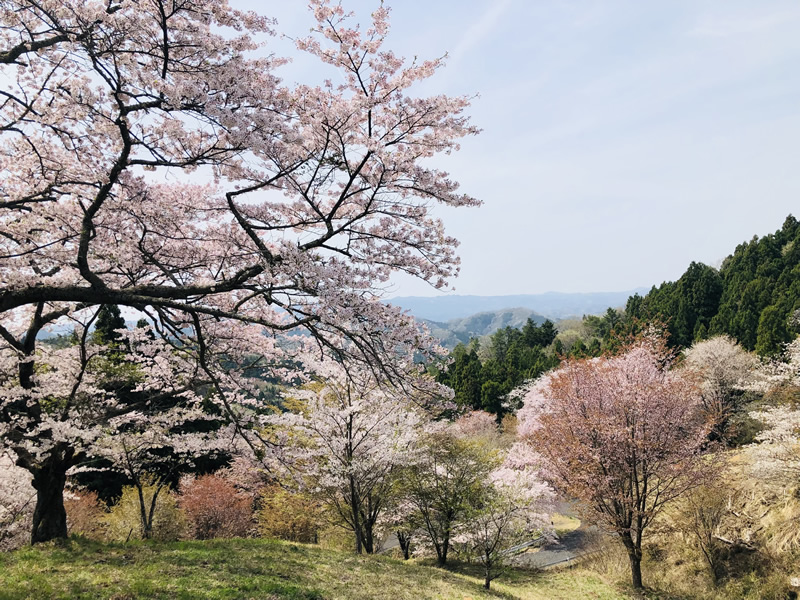 沓掛峠(くつかけとうげ)