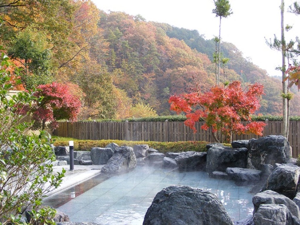 大子温泉保養センター 森林の温泉