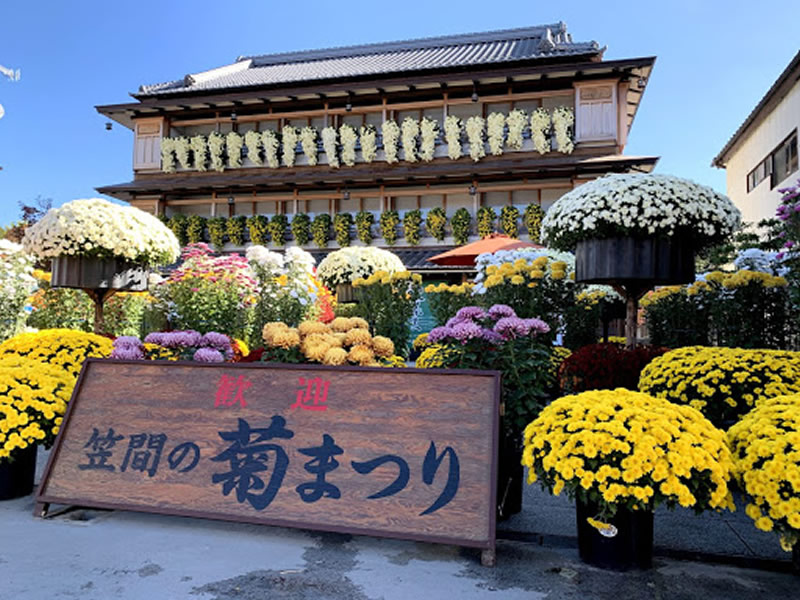 かさま歴史交流館井筒屋