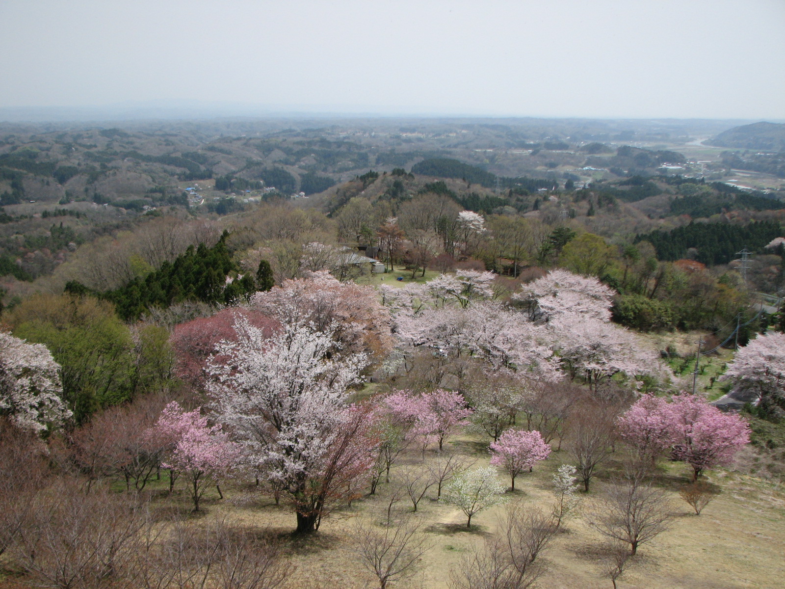 三王山自然公園