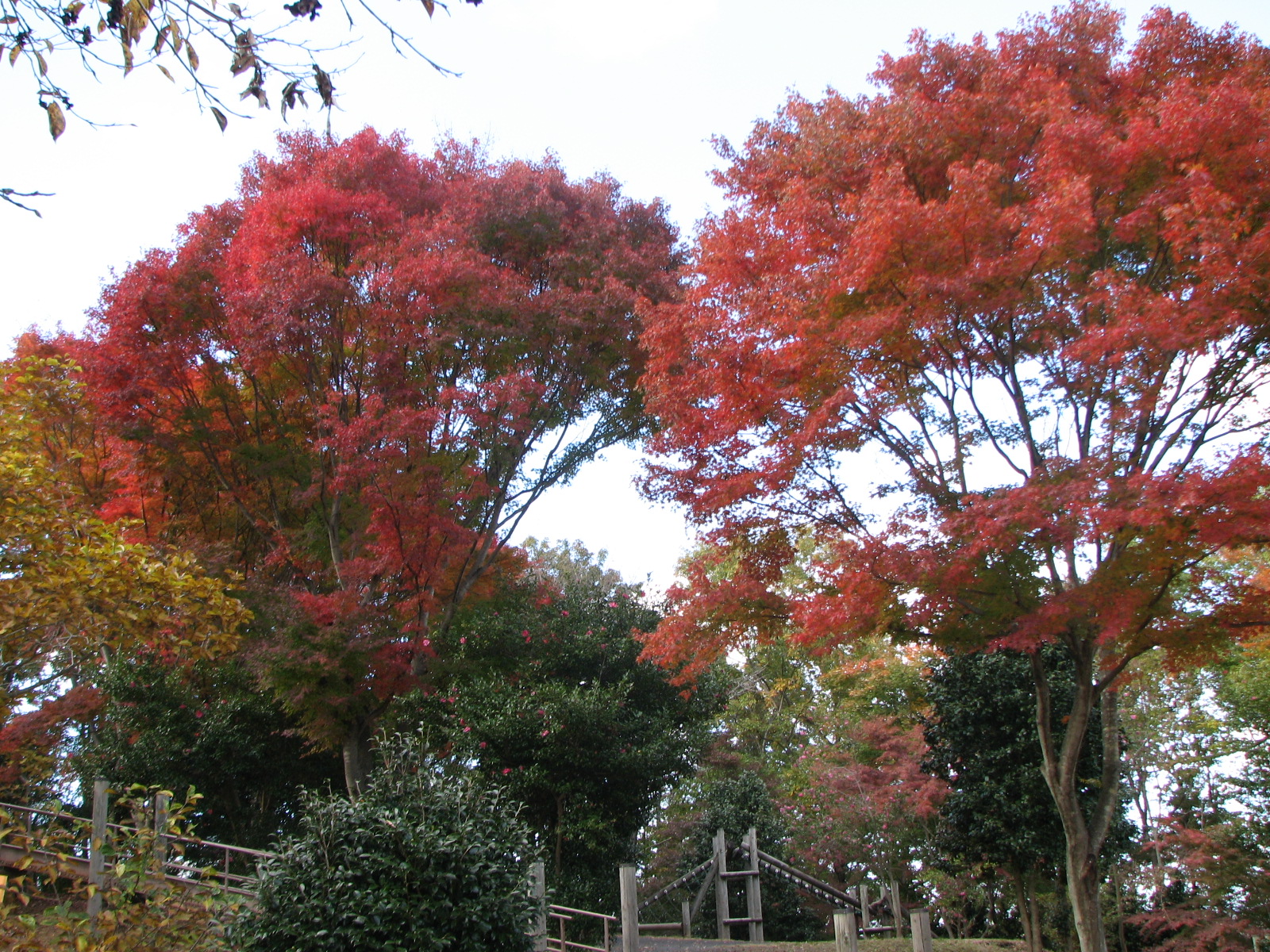 三王山自然公園