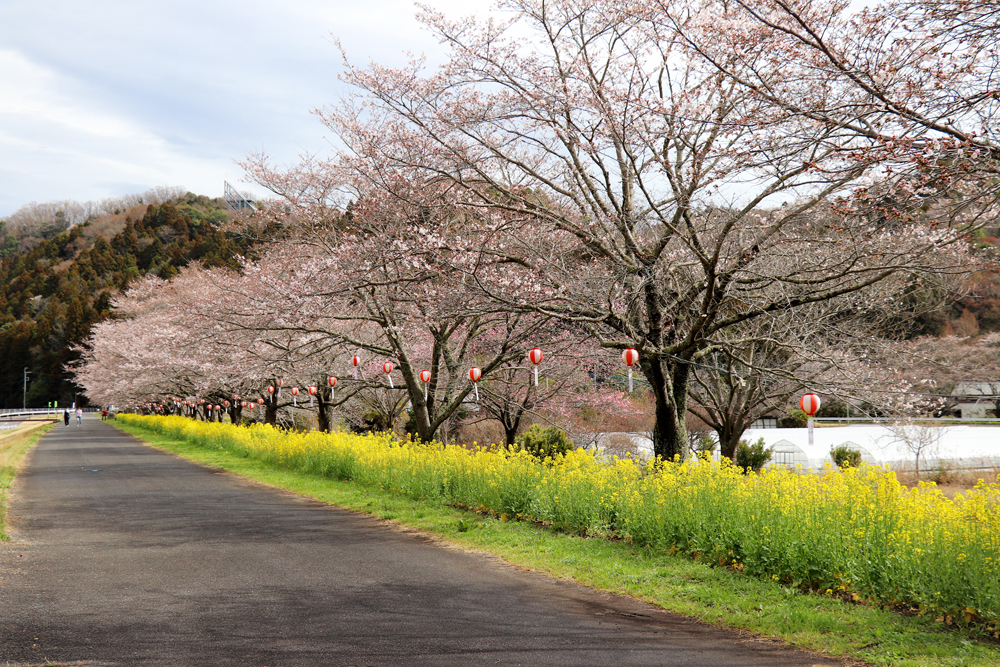 辰ノ口親水公園