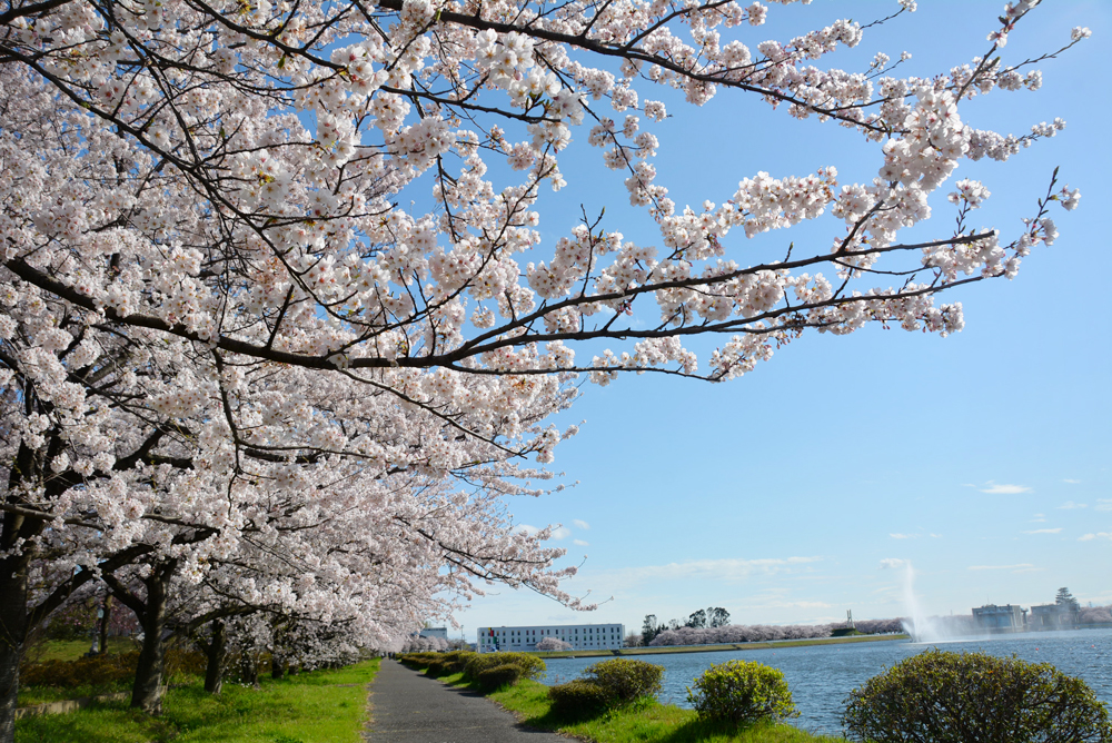 童夢公園