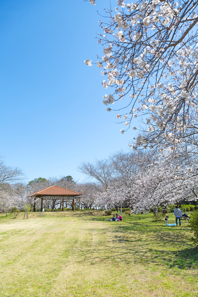 権現山公園