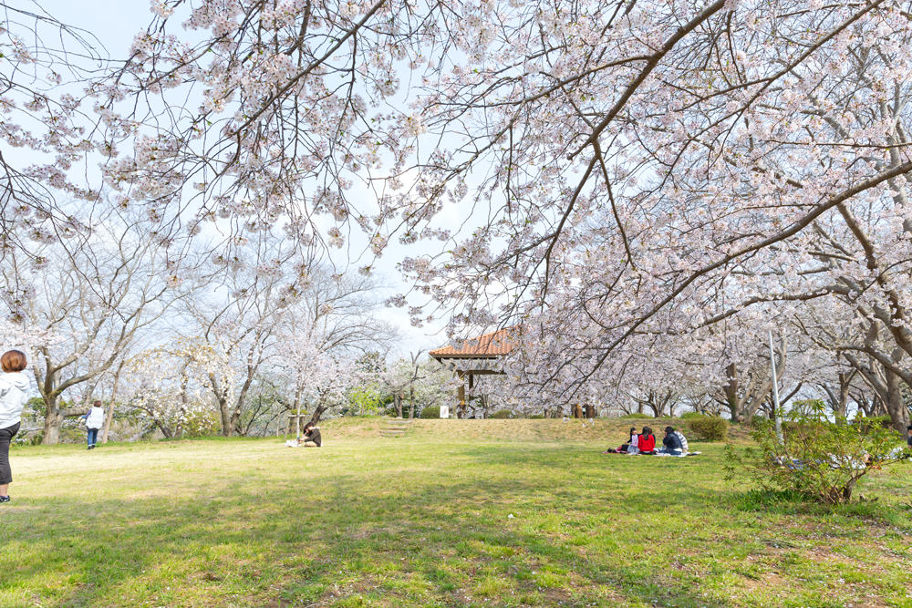 権現山公園