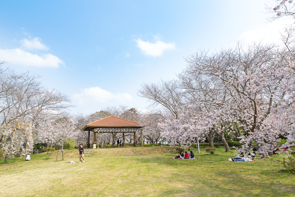 権現山公園