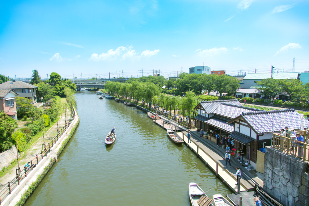 水郷潮来あやめ園