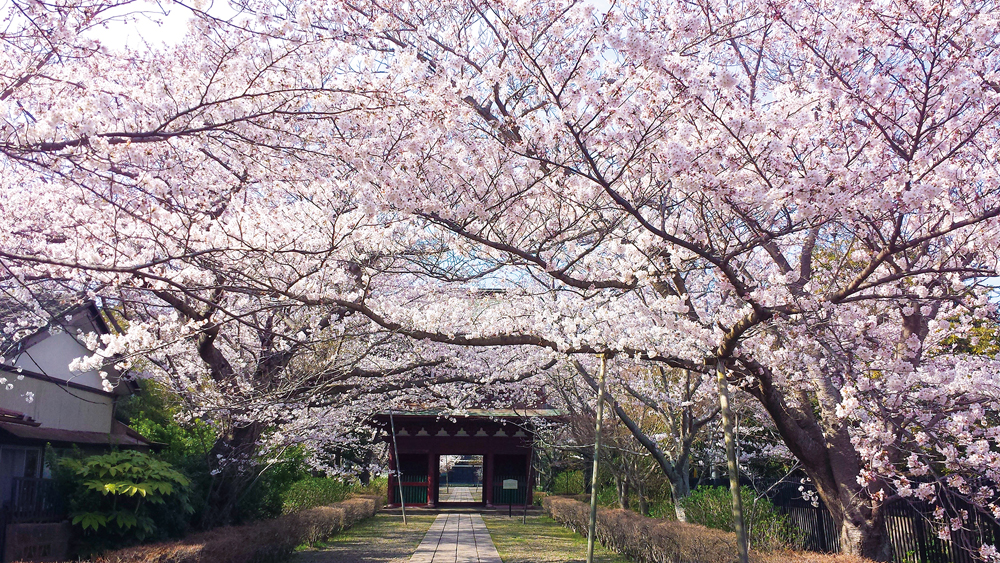 長勝寺