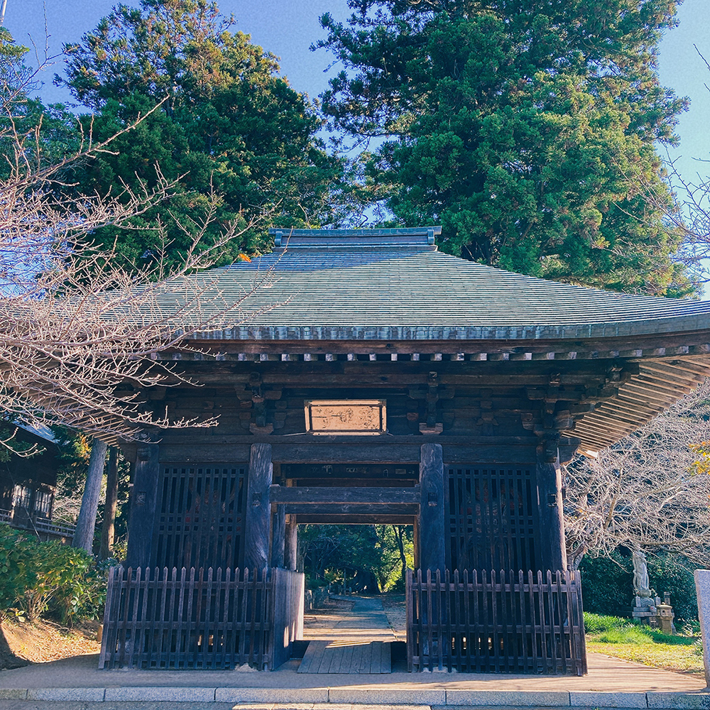 西蓮寺