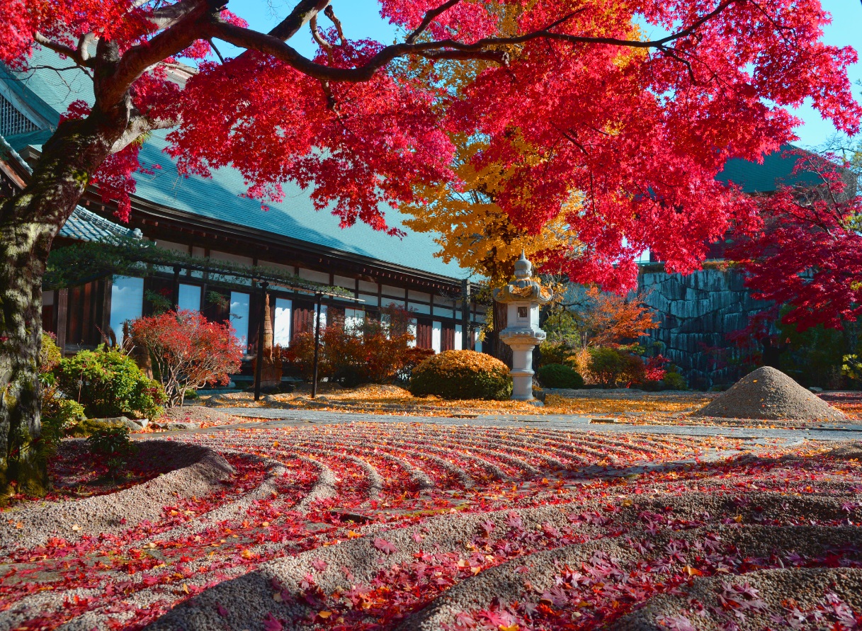 曜光山月山寺（ようこうざんがっさんじ）