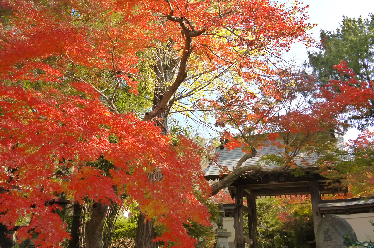 燻静山 薬王寺（くんせいざんやくおうじ）