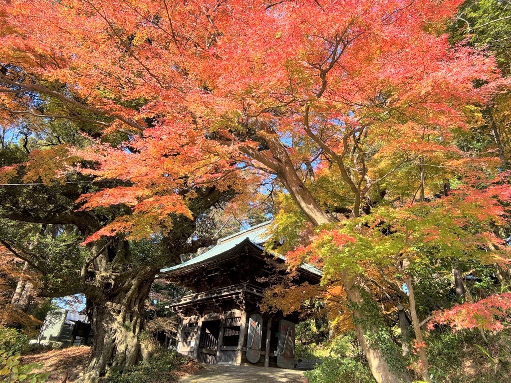 椎尾山薬王院