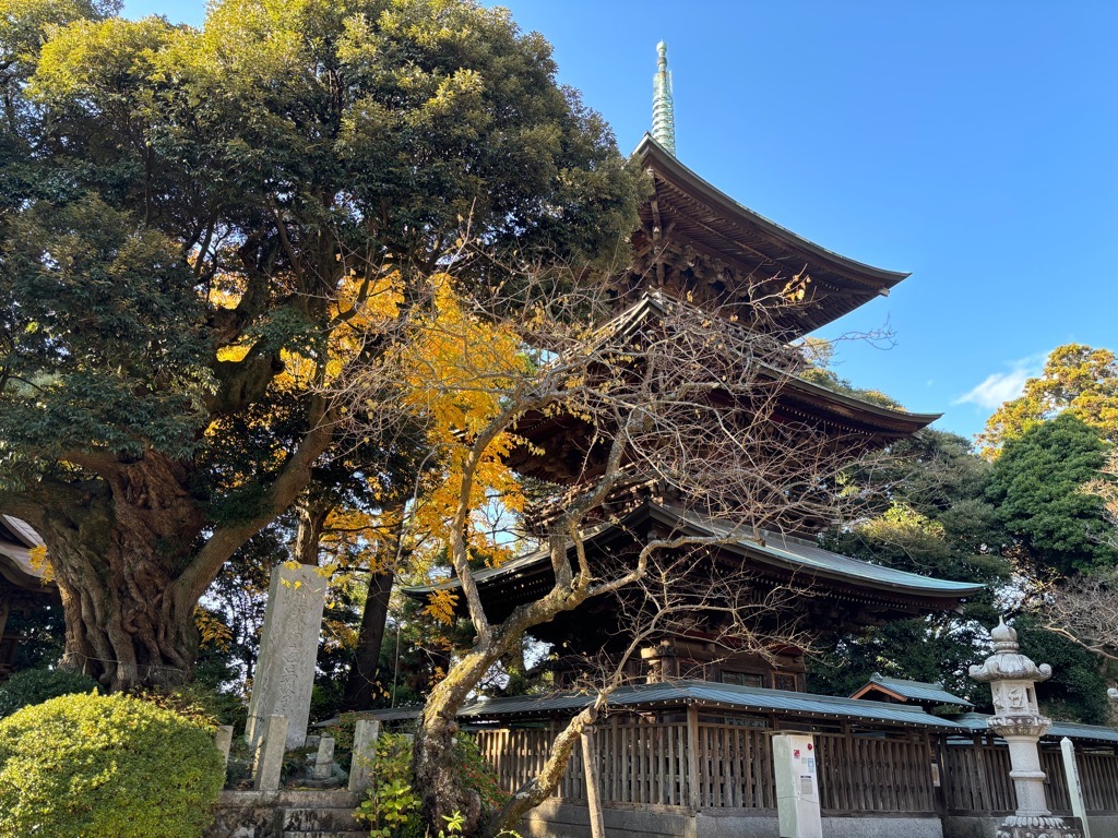 椎尾山薬王院