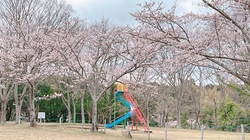 羽黒山公園