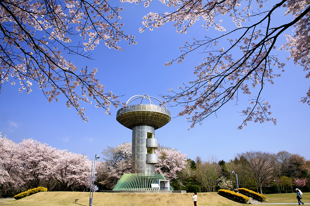 十王パノラマ公園