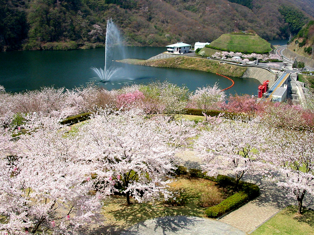 十王パノラマ公園