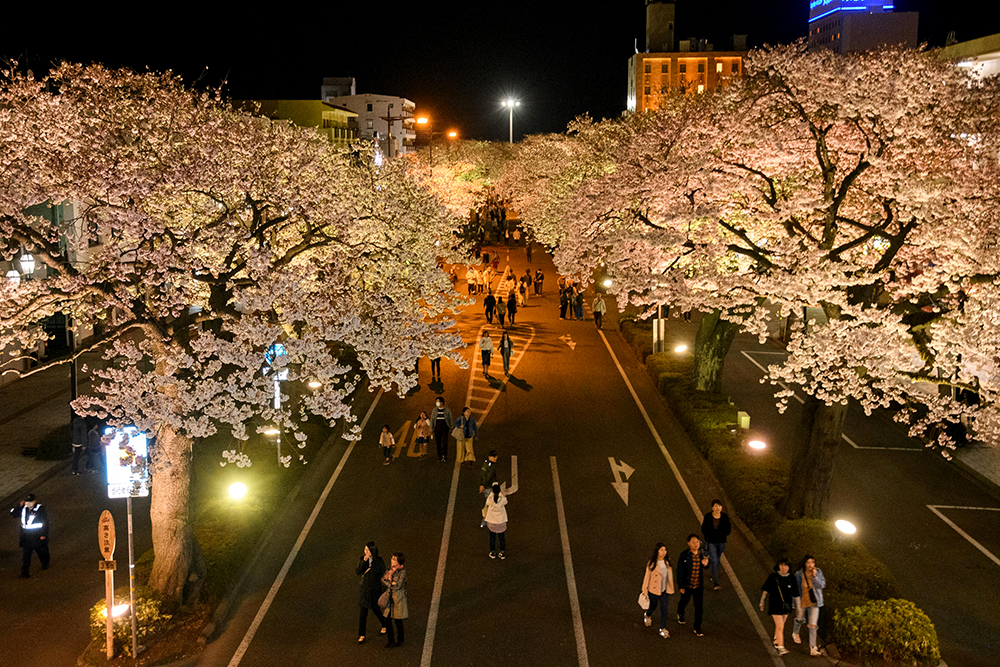 平和通り