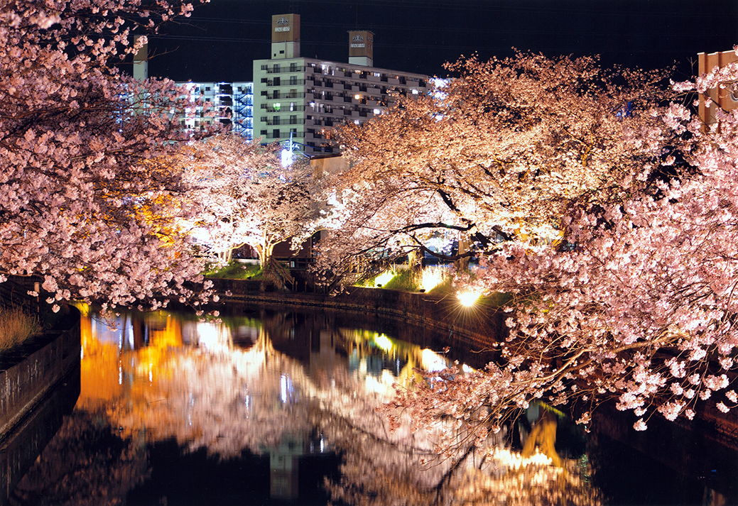 亀城公園