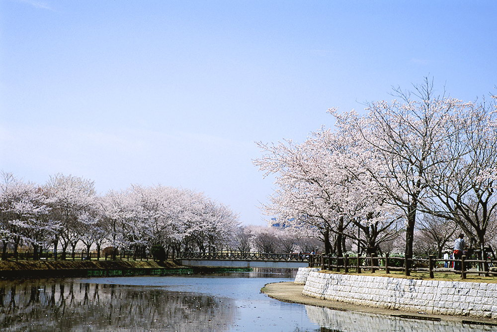 乙戸沼公園