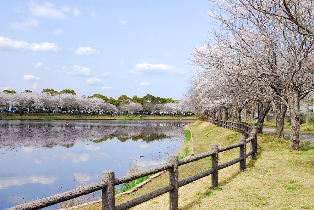 乙戸沼公園