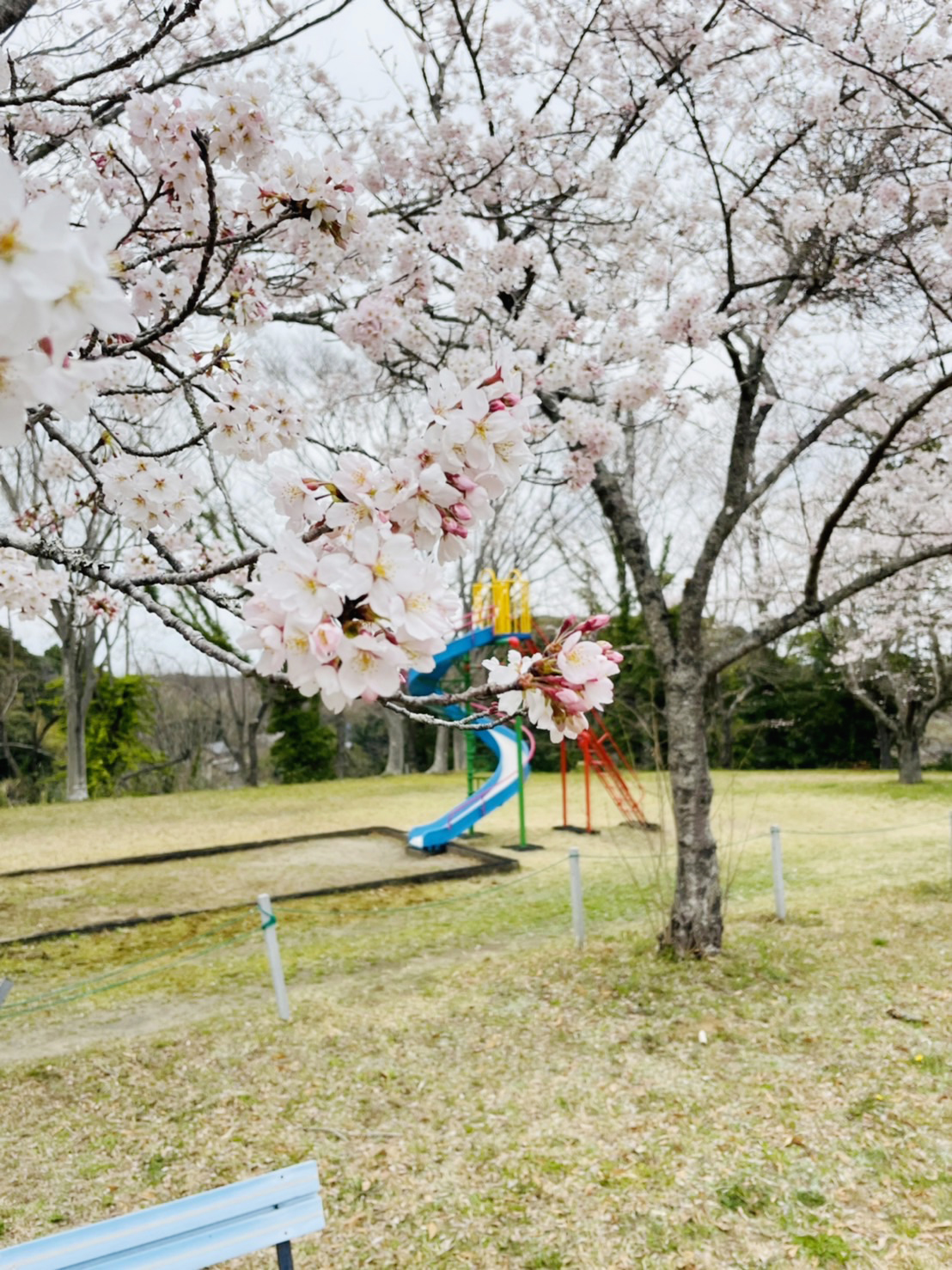 羽黒山公園