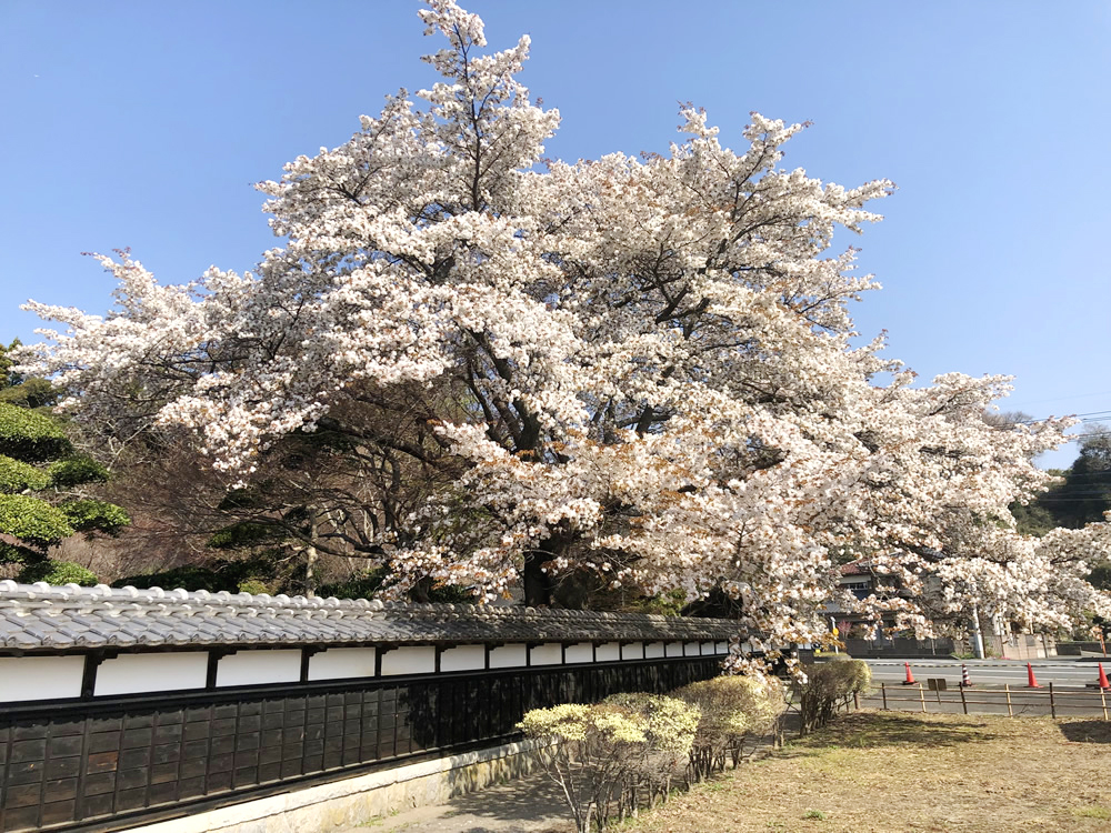 穂積家住宅