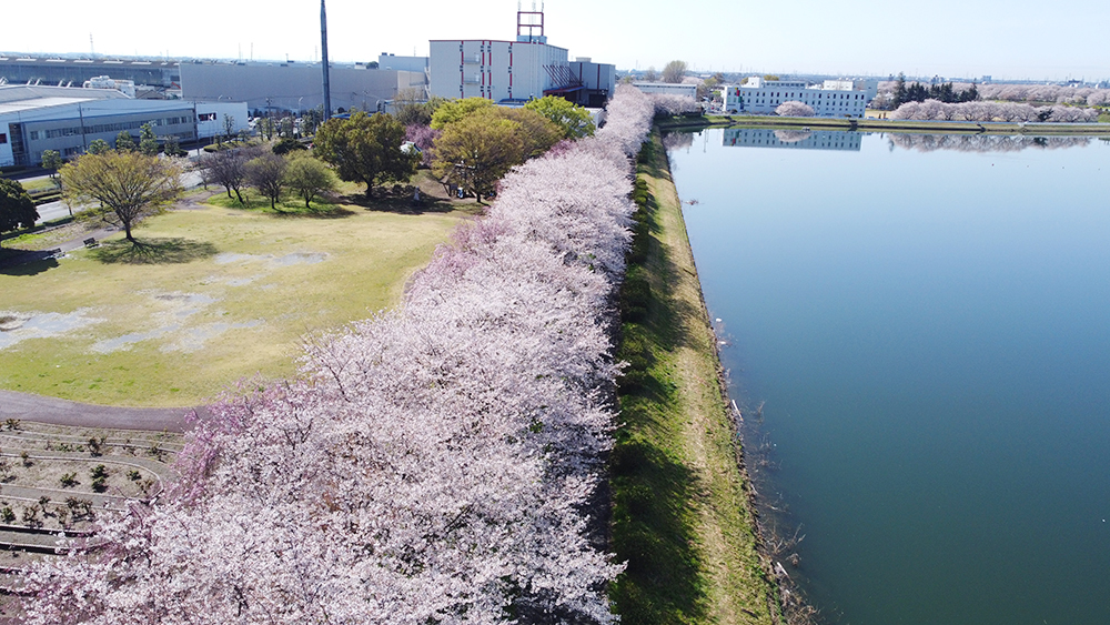 童夢公園