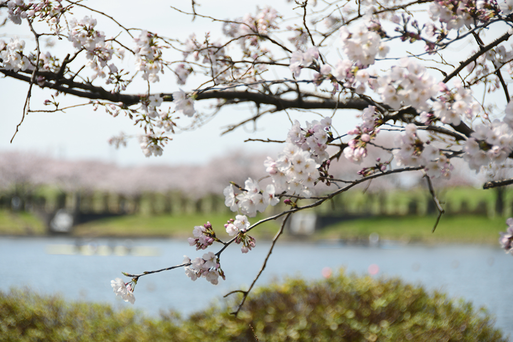 童夢公園