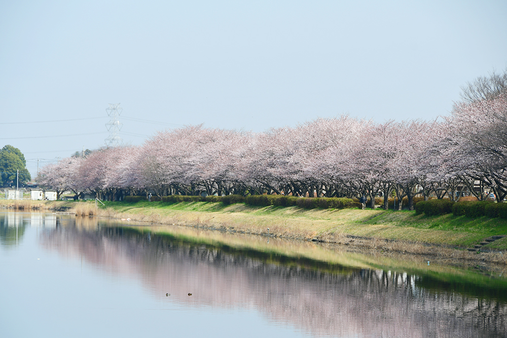 童夢公園