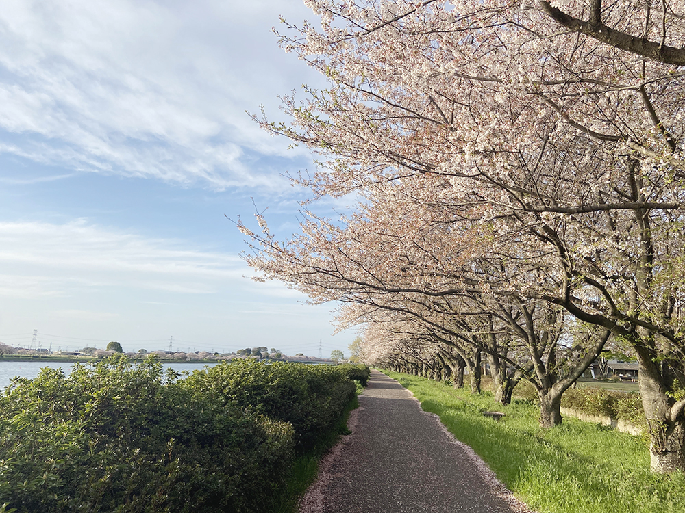 童夢公園