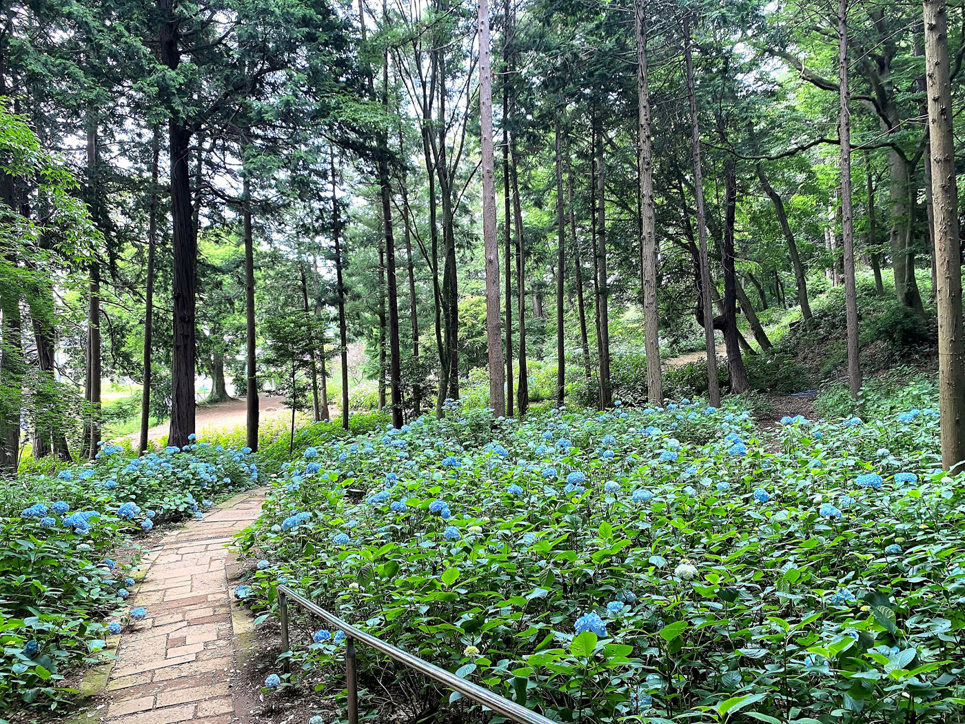 大宝八幡宮