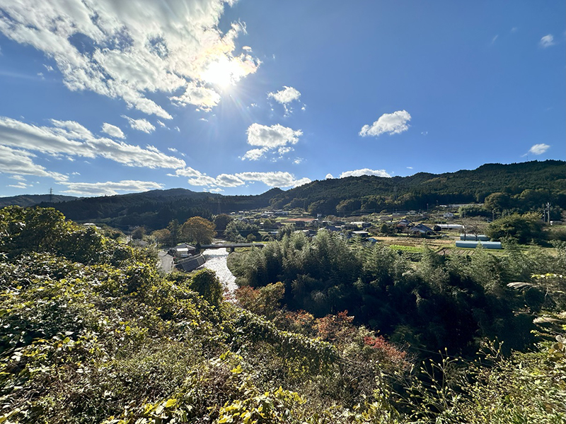 道の駅さとみ