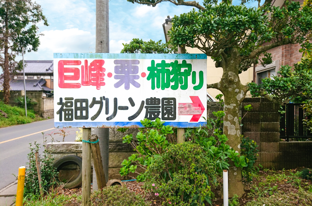福田グリーン農園