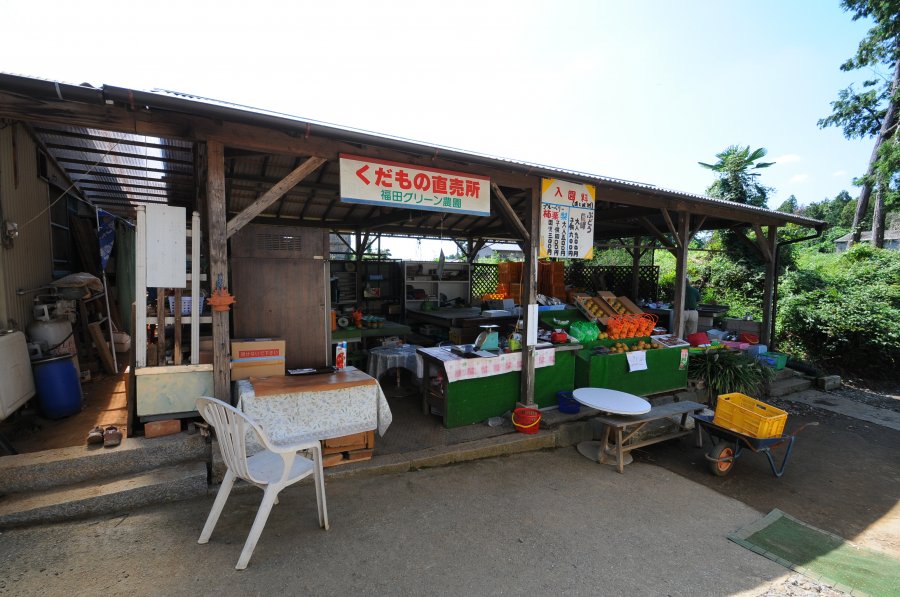 福田グリーン農園