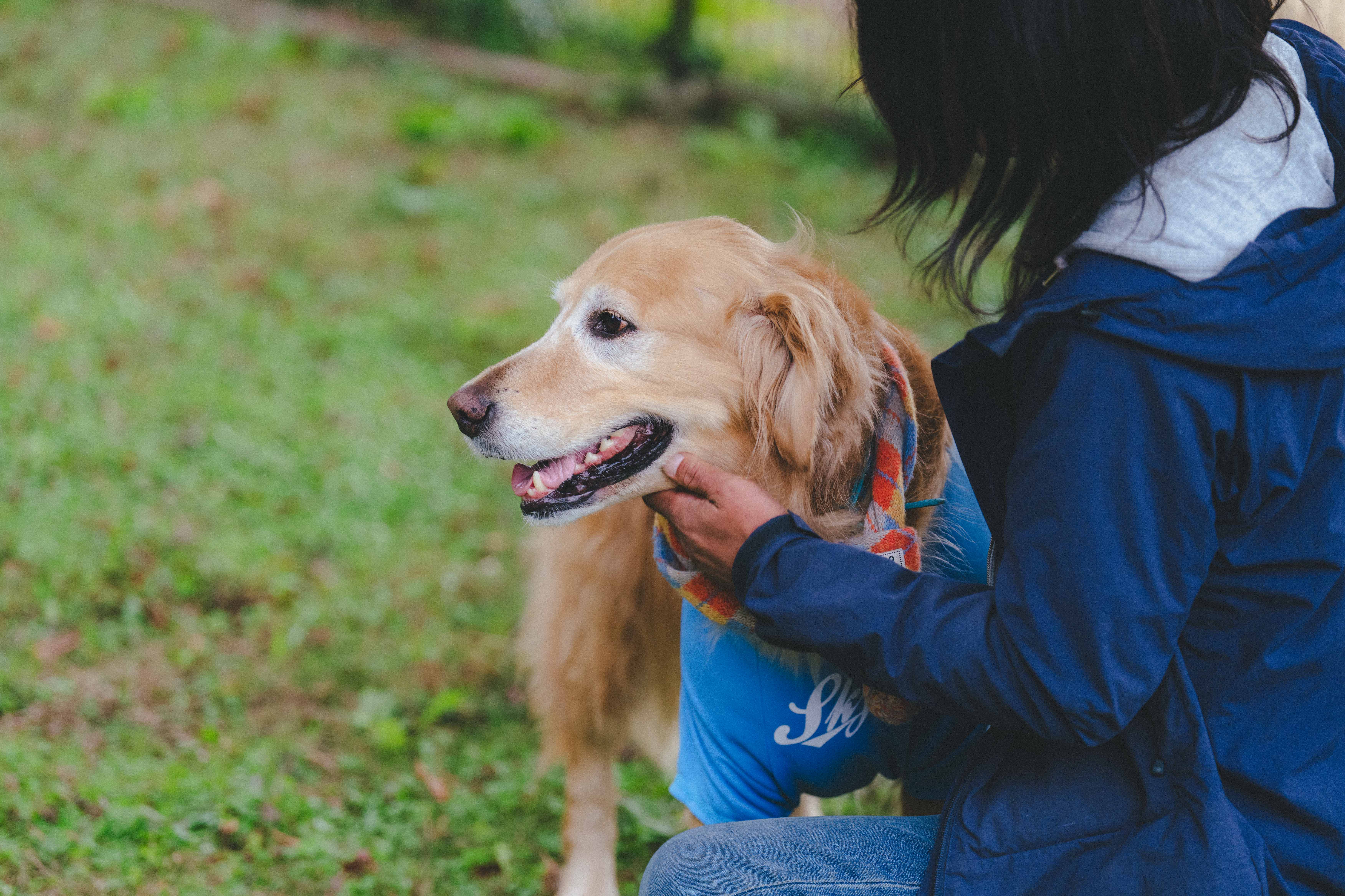 トラットリア・アグレステ（trattoria Agreste）