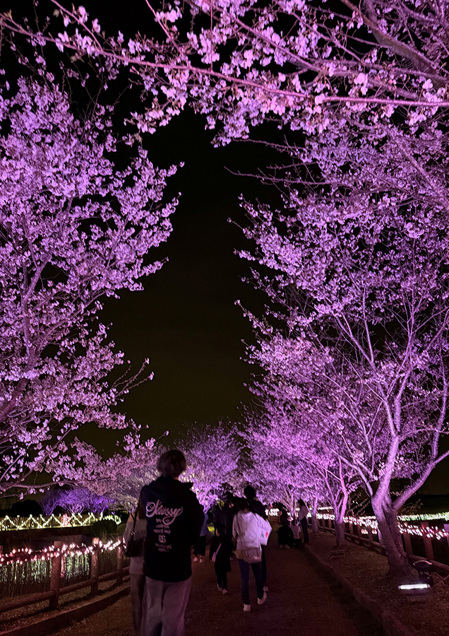 水と緑のふれあい公園