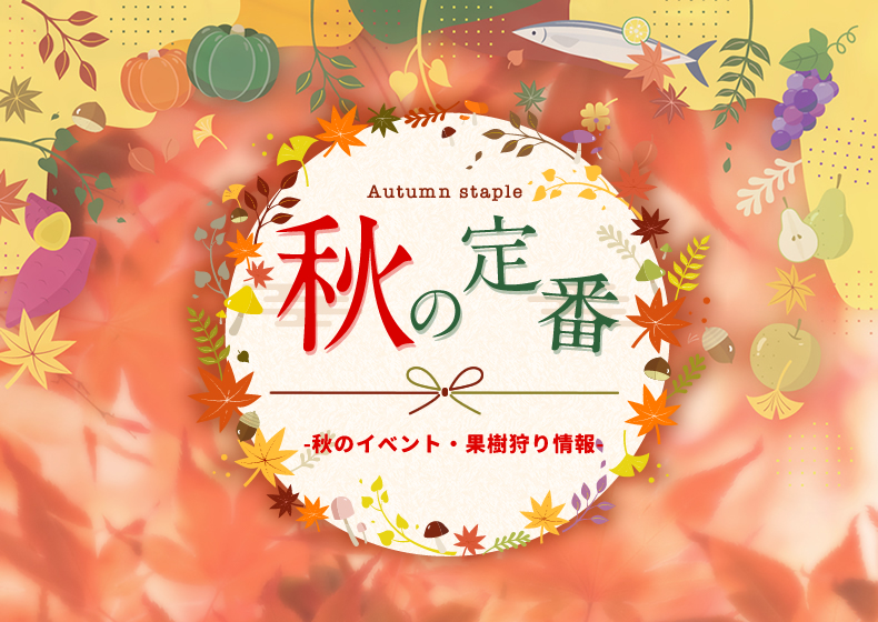 秋の定番