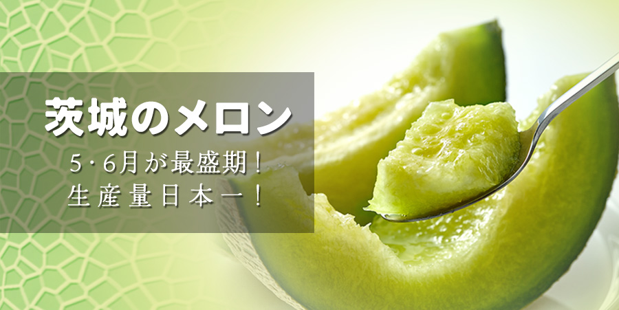 茨城のメロン 5・6月が最盛期！生産量日本一！
