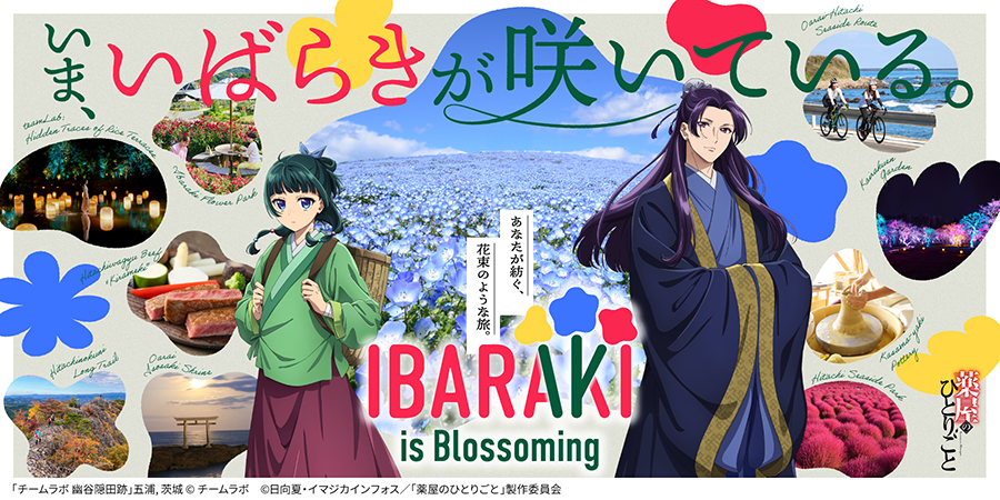 IBARAKI is Blossoming -いま、いばらきが咲いている。- 薬屋のひとりごと