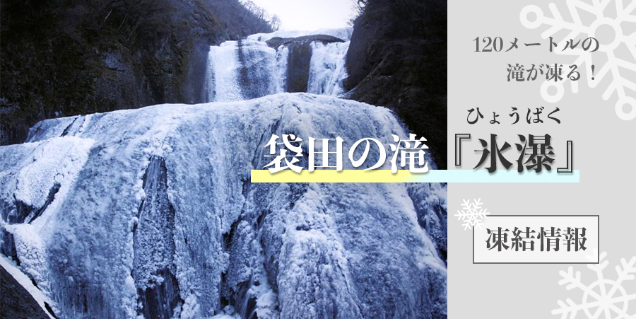 120メートルの滝が凍る！「氷瀑(ひょうばく)」袋田の滝凍結情報【2026】