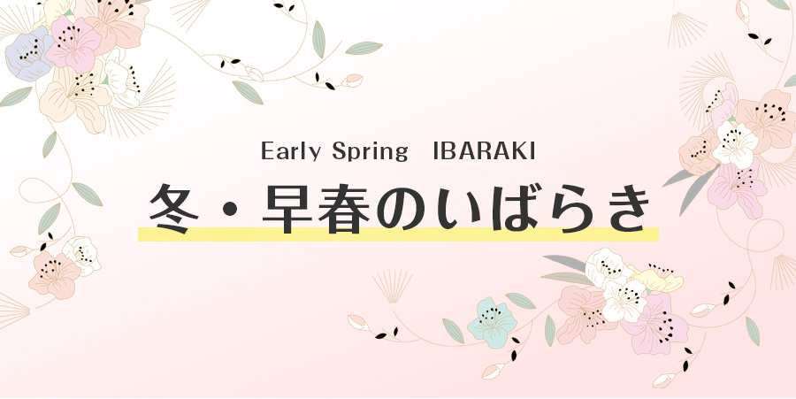 冬・早春のいばらき