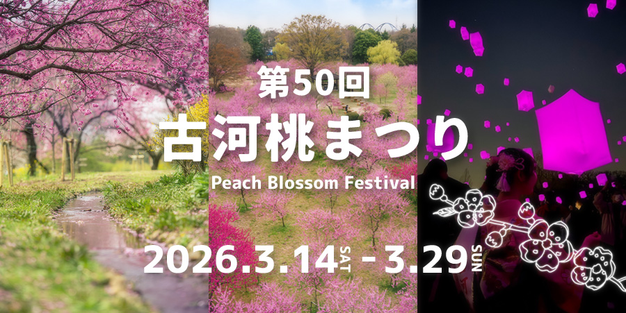 第50回 古河桃まつり【2026】